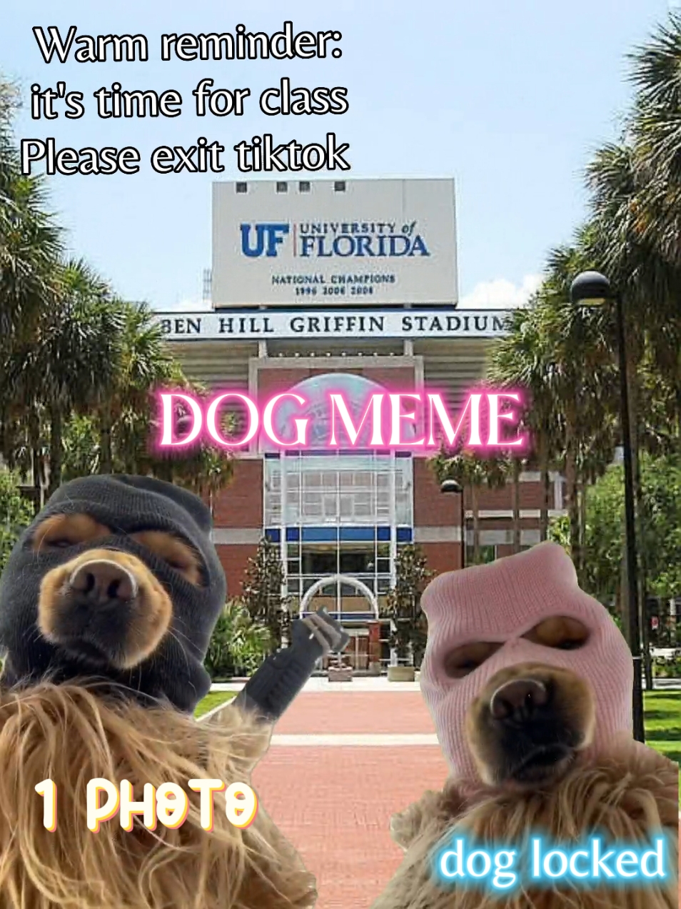 Meme de perro