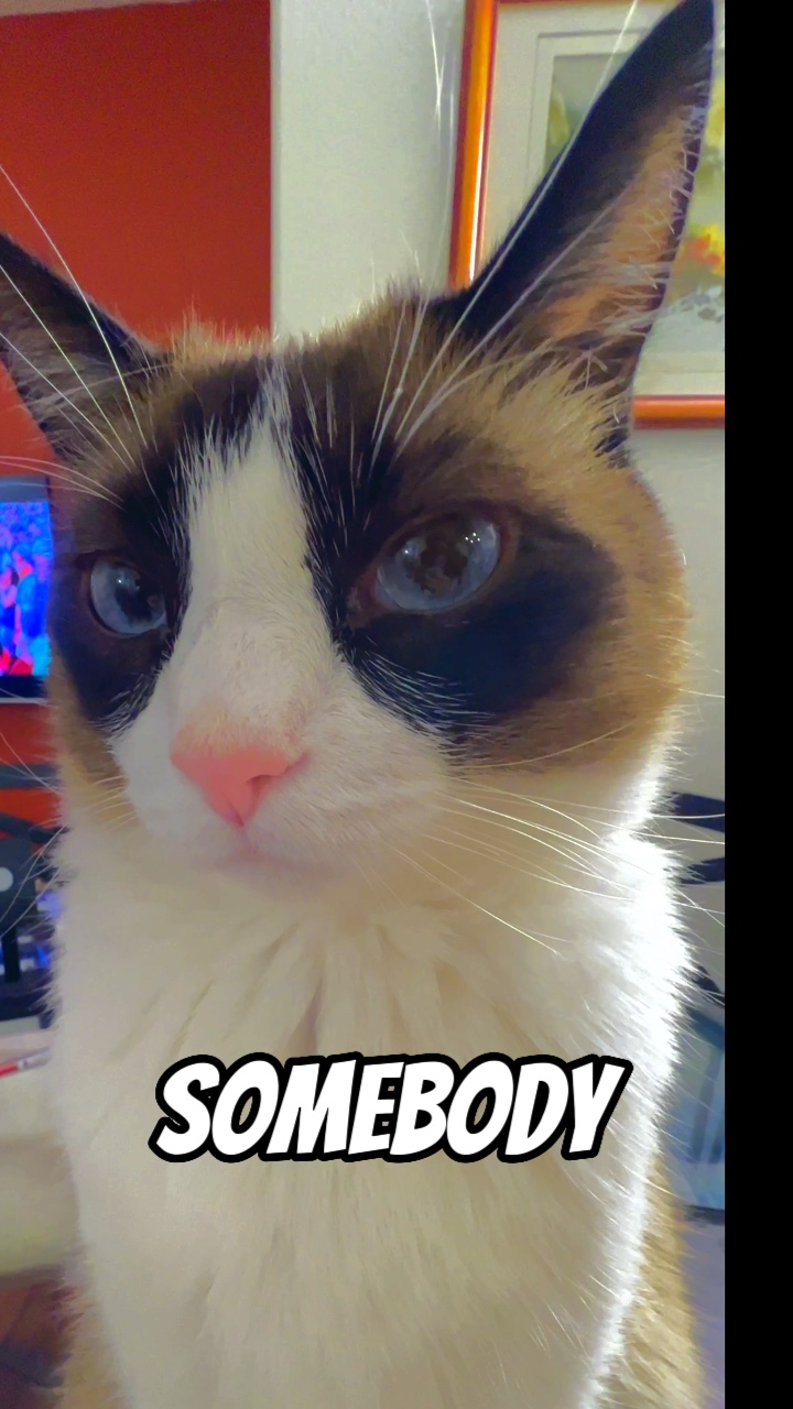 Everybody scream! 