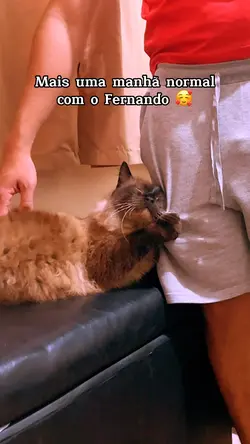 Filtro de natal