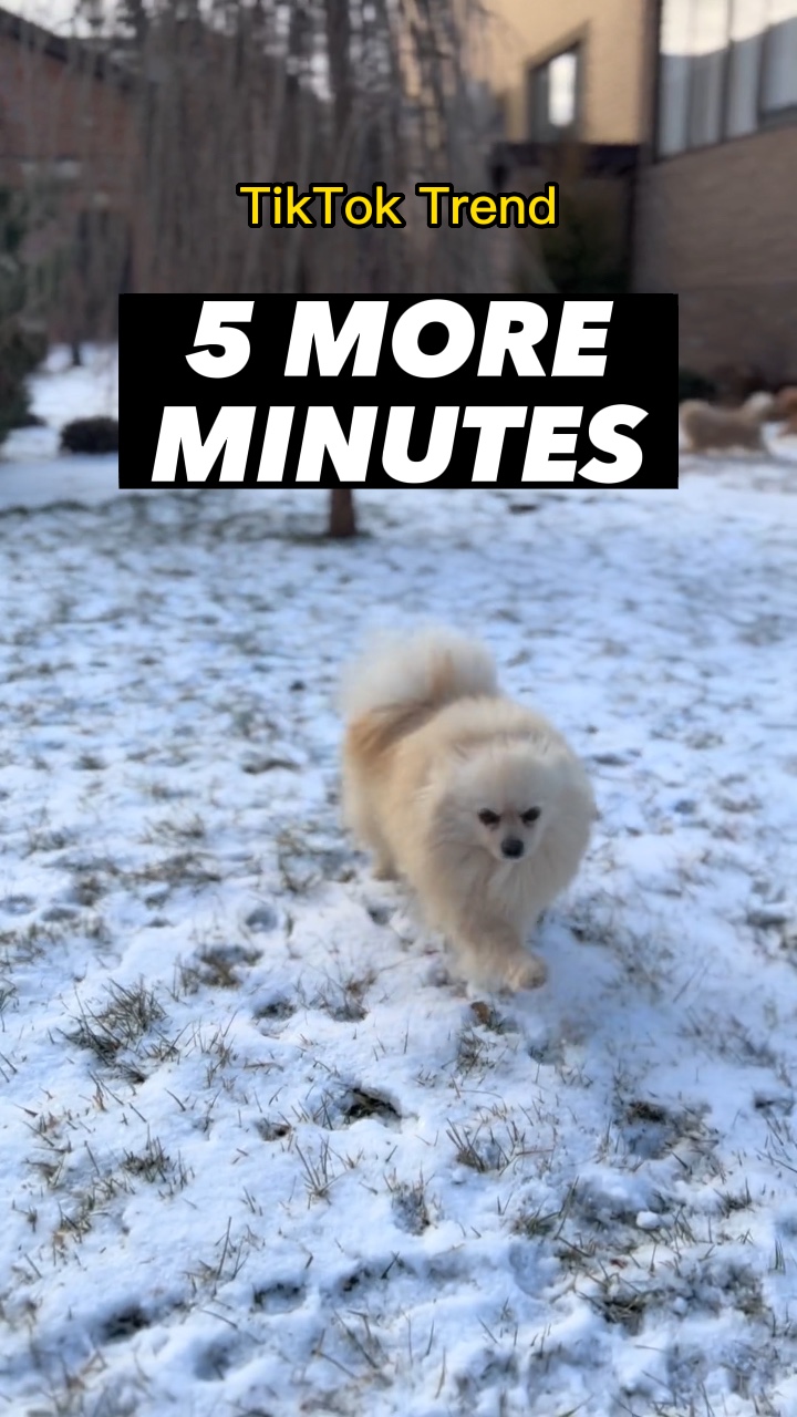 5 minutes de plus