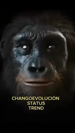 CHANGOEVOLUCIÓN 