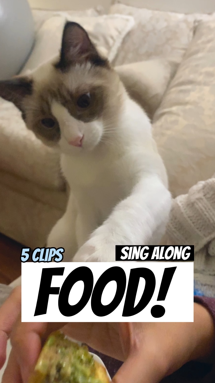 Saya ingin makanan! 