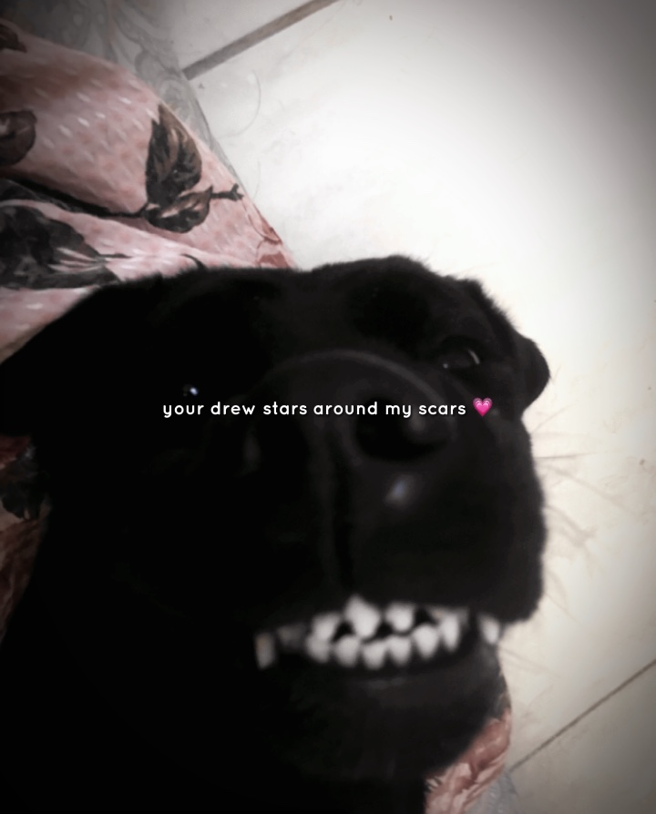 Te quiero <3 |