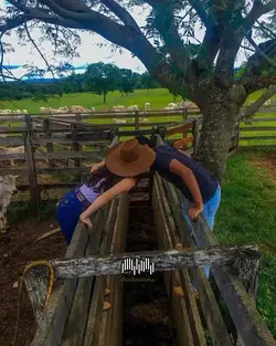 amor de primavera
