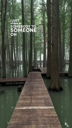 Somebody to someone