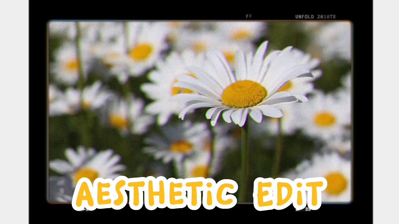 L'été 