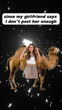 Funny reveal video