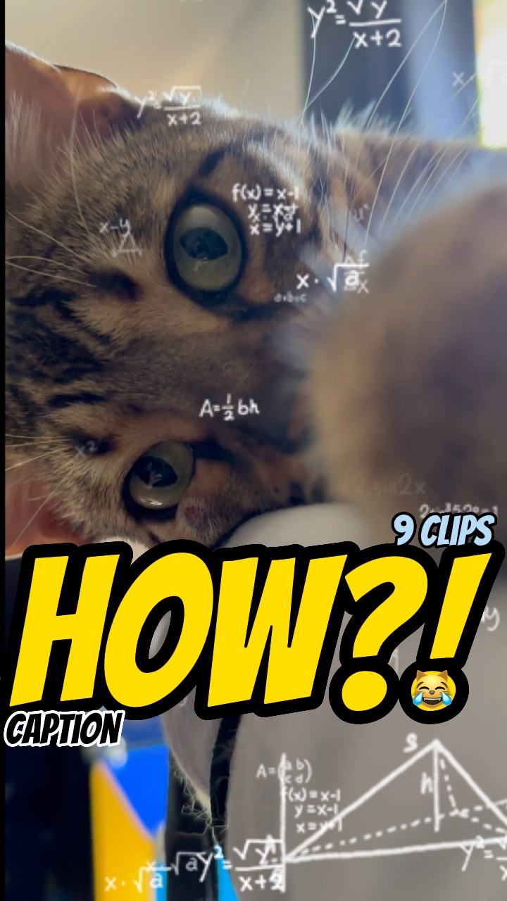 How?!