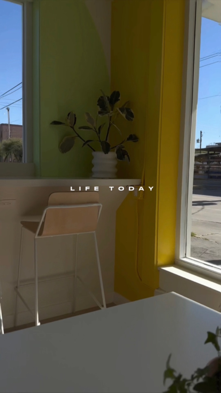 daily vlog