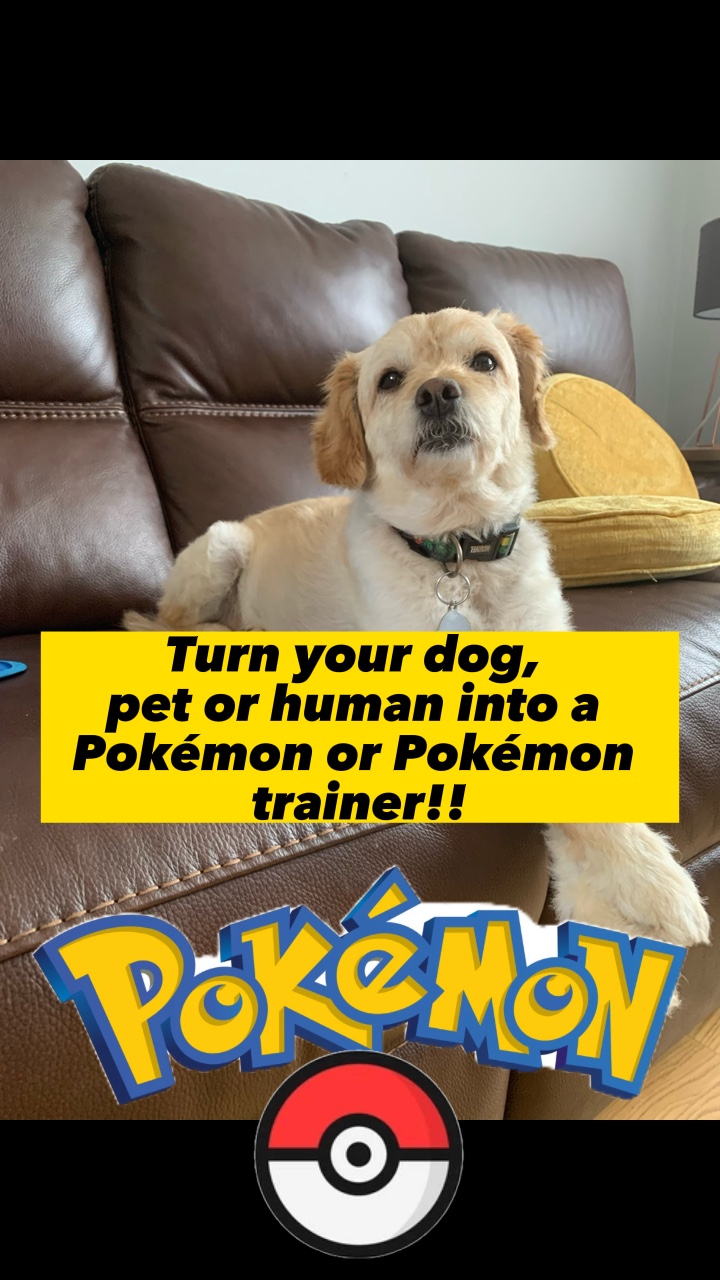 Pokémon Haustierfilter 