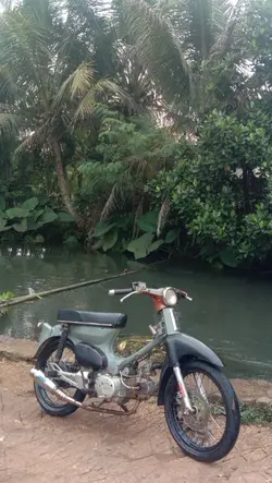 lirik lagu,no filter
