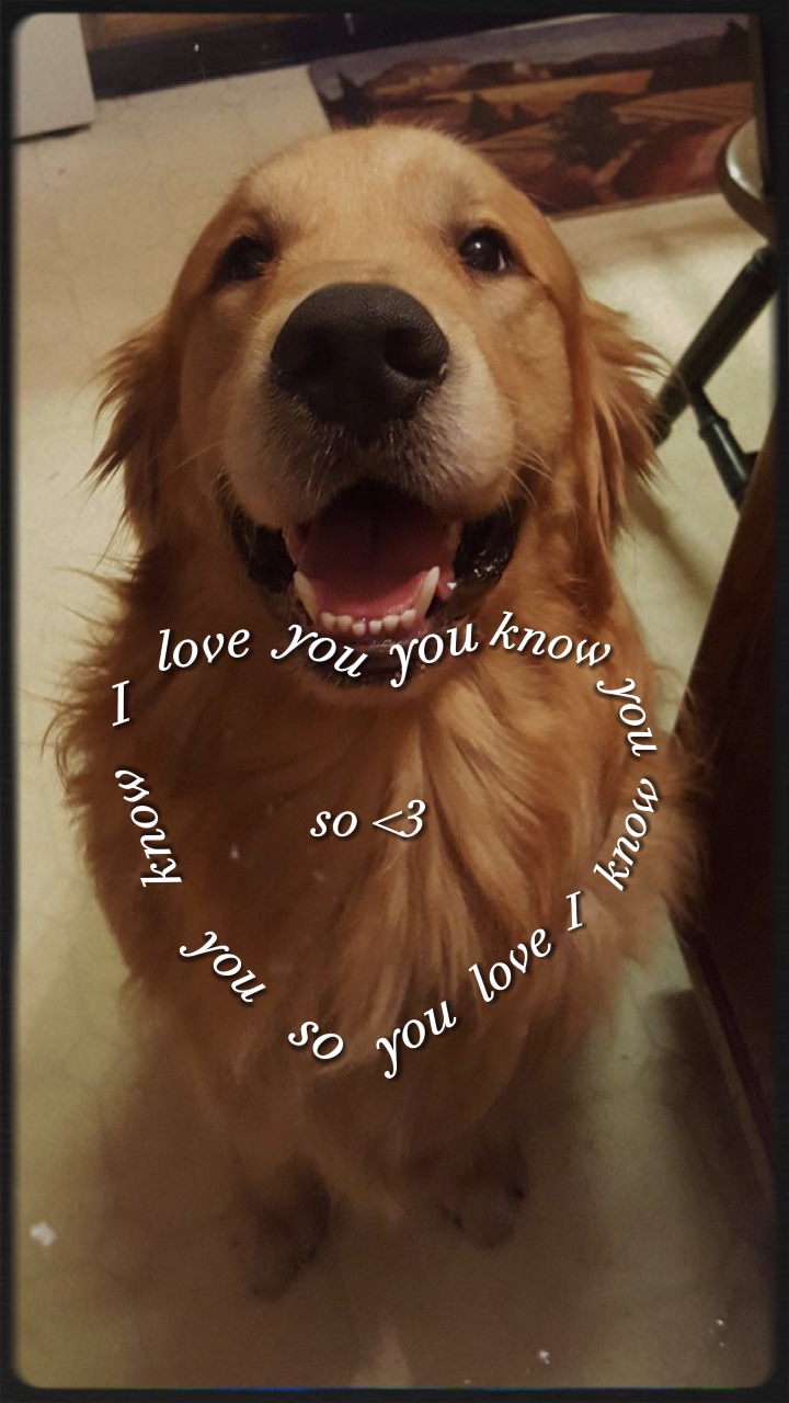 I love you pet ❤️‍🩹