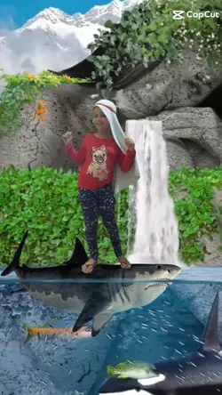 tubarão no mar
