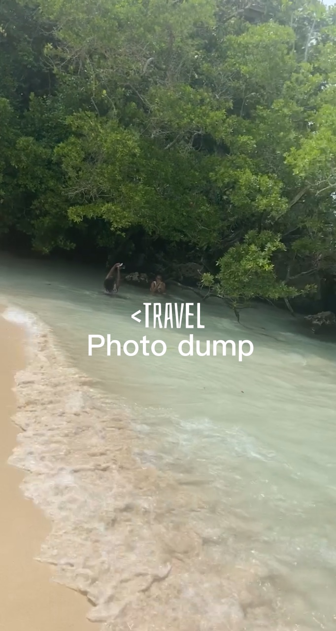 Dépôt de photos de voyage🌊