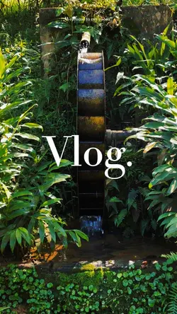 VLOG