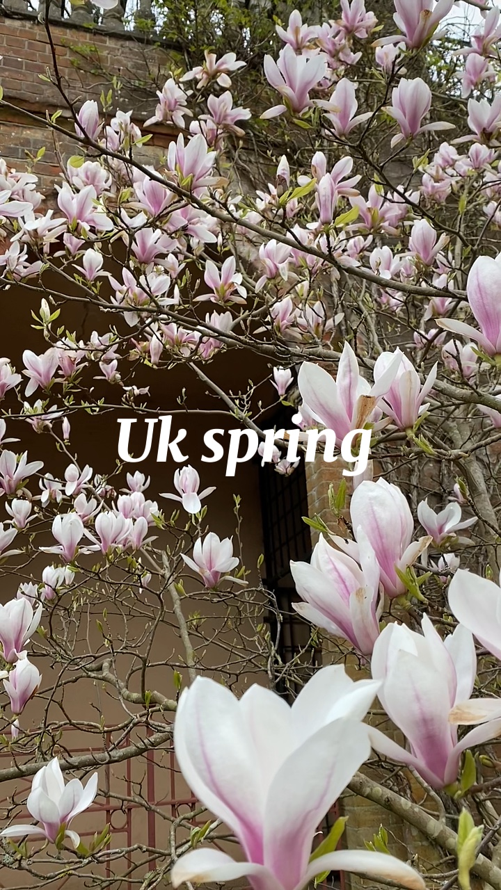 Primavera 🌸