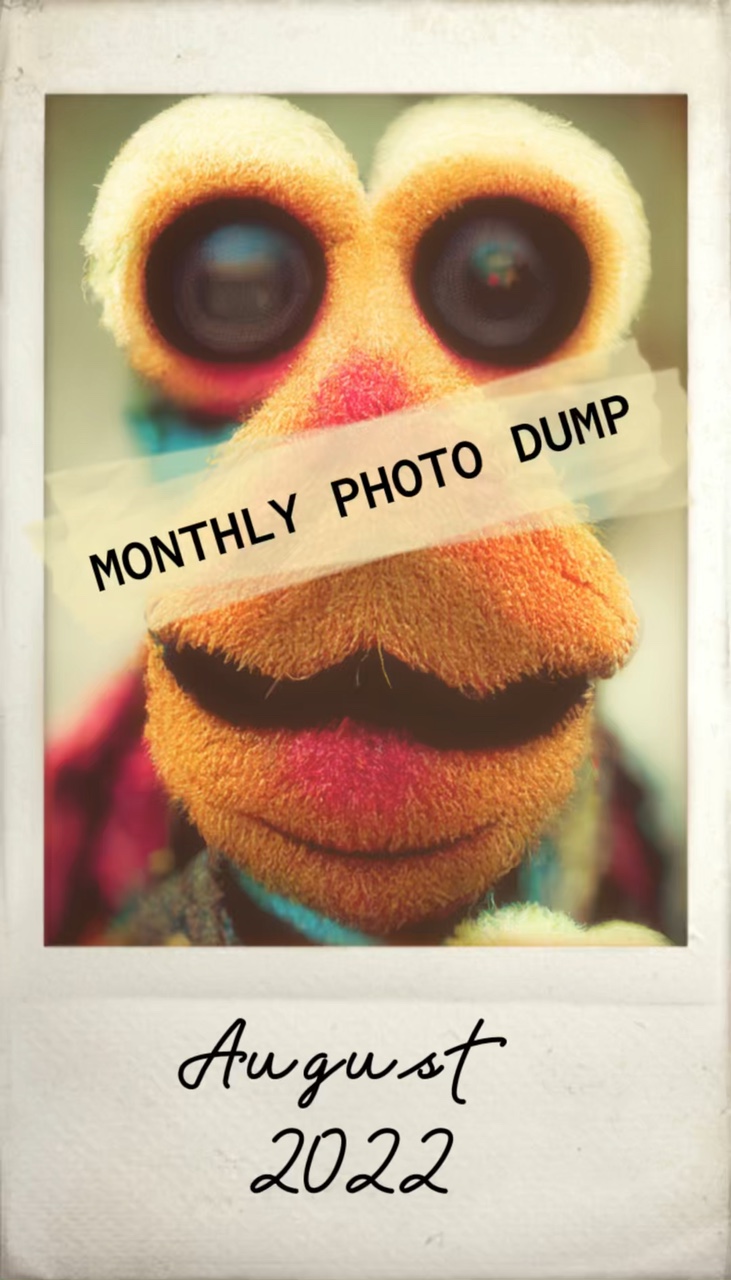 Dump photo mensuel
