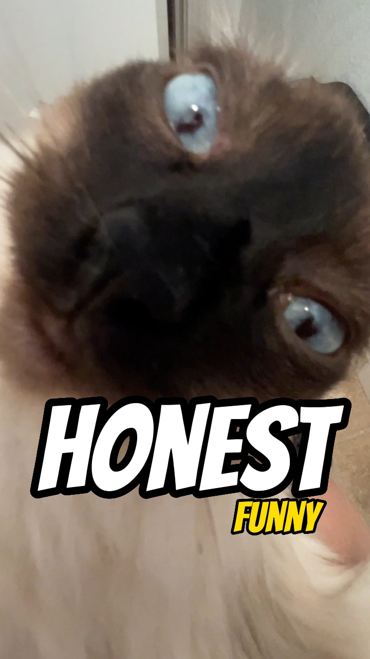 Honesto com você 