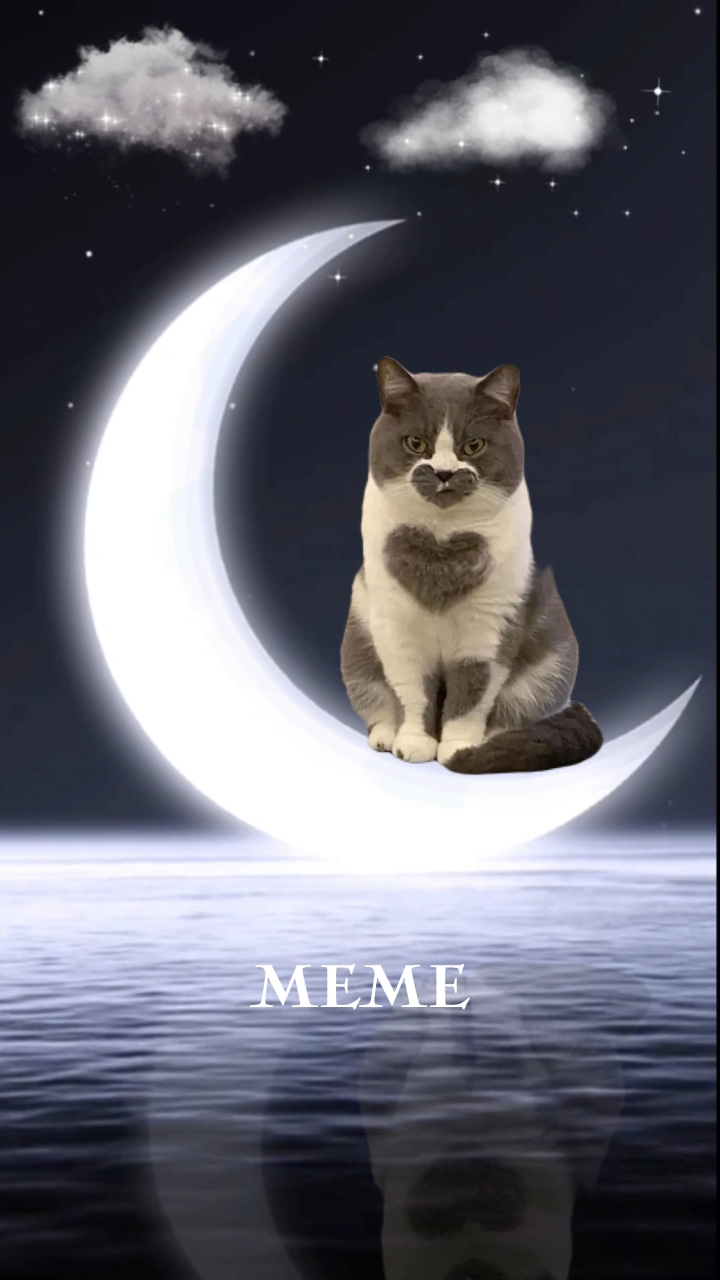 Ay
