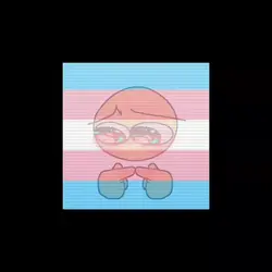 pedido\trans