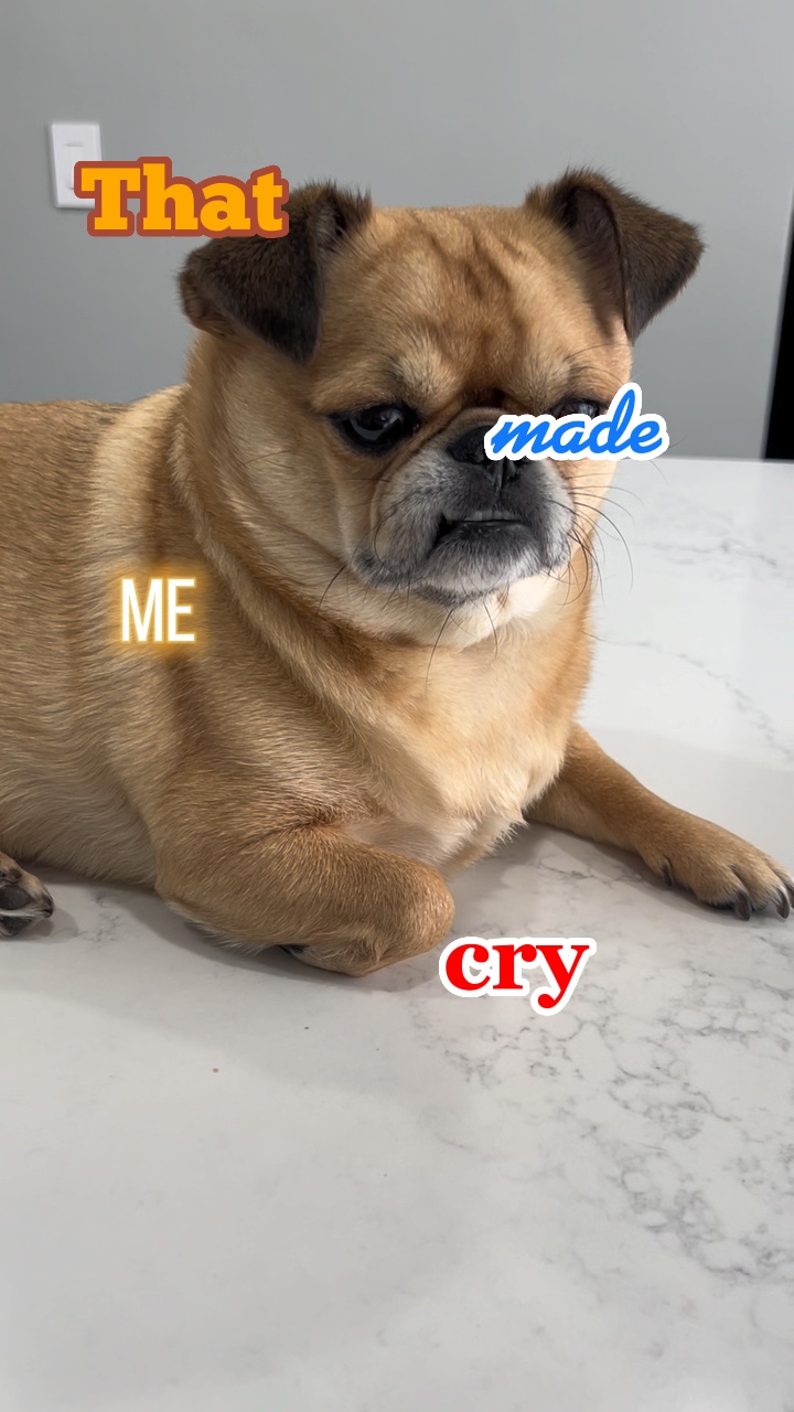That made me cry