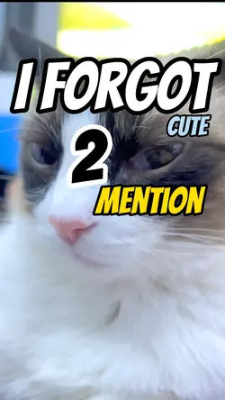 I forgot to mention