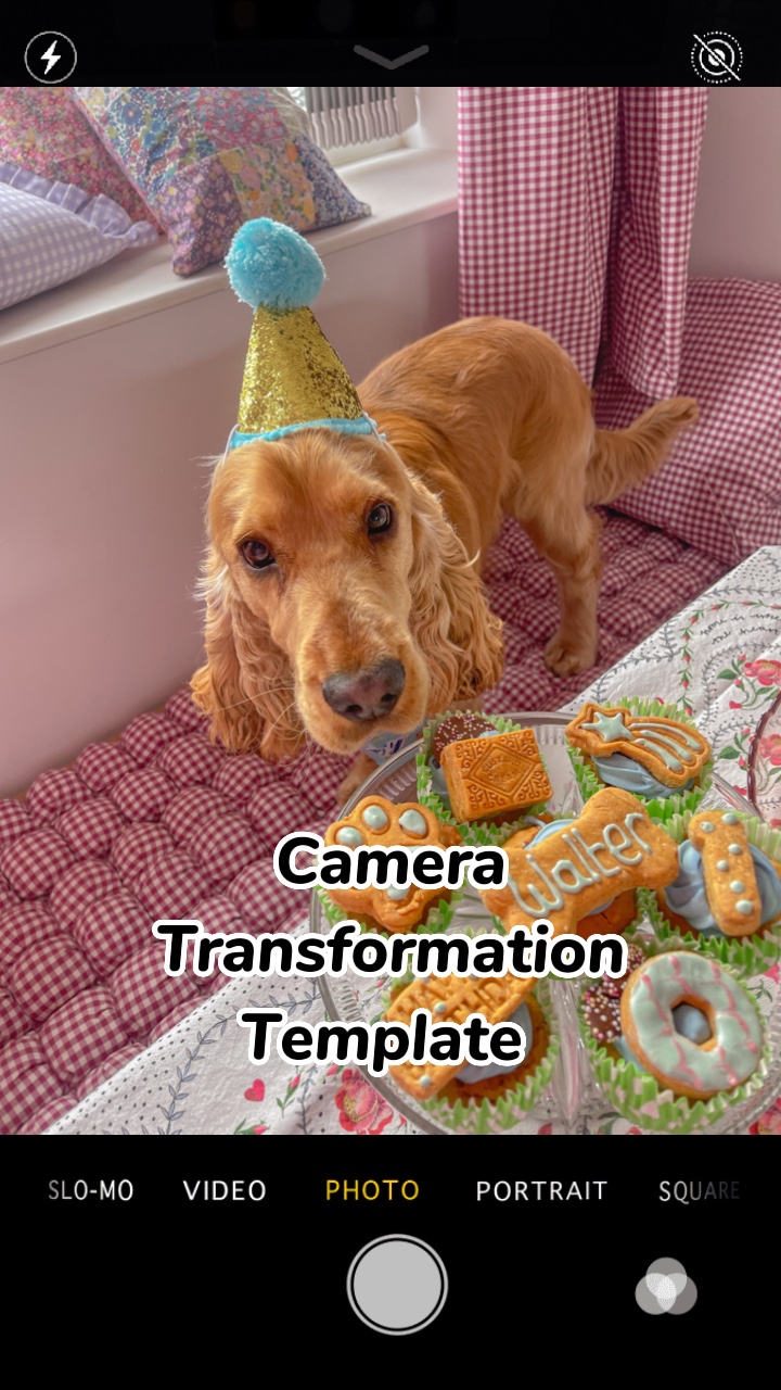 Transformation photo