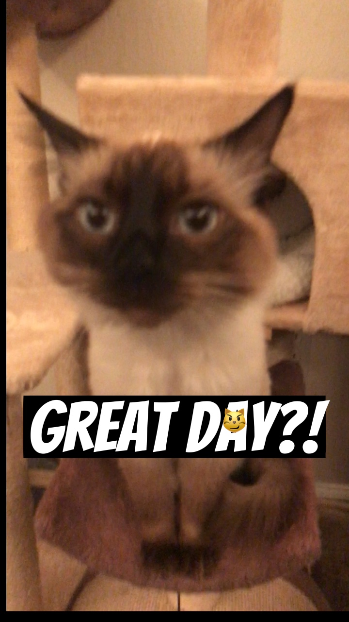 Great day!?