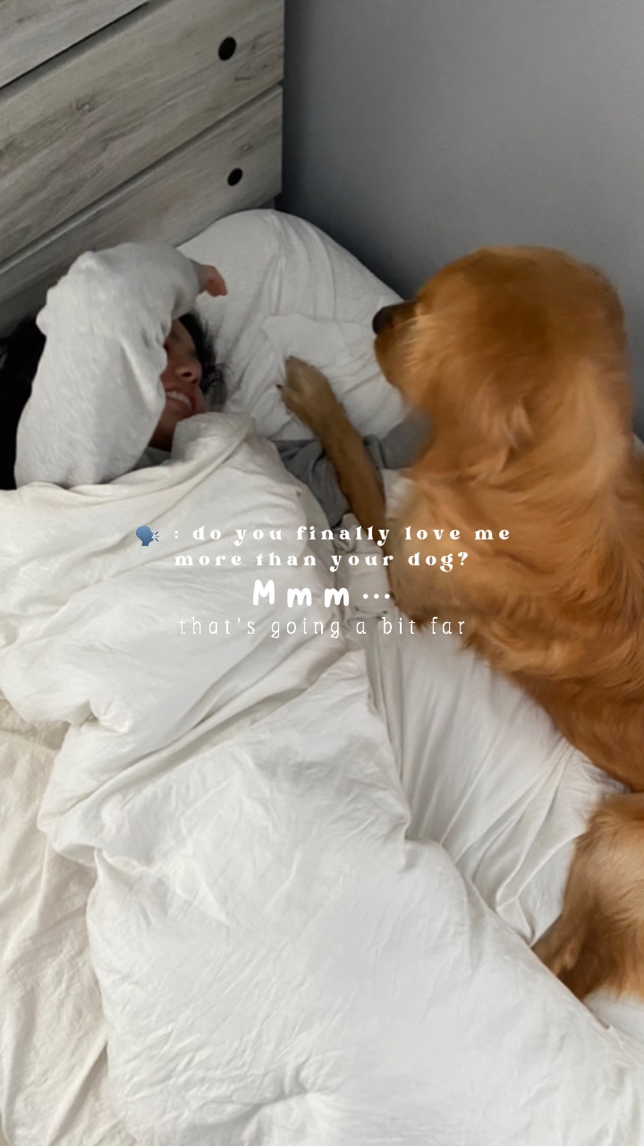 dog lovers 🤍