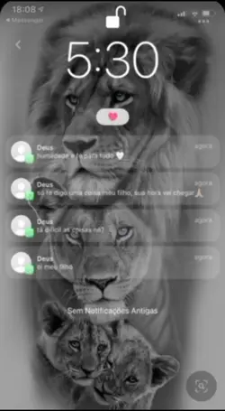 Notificação 