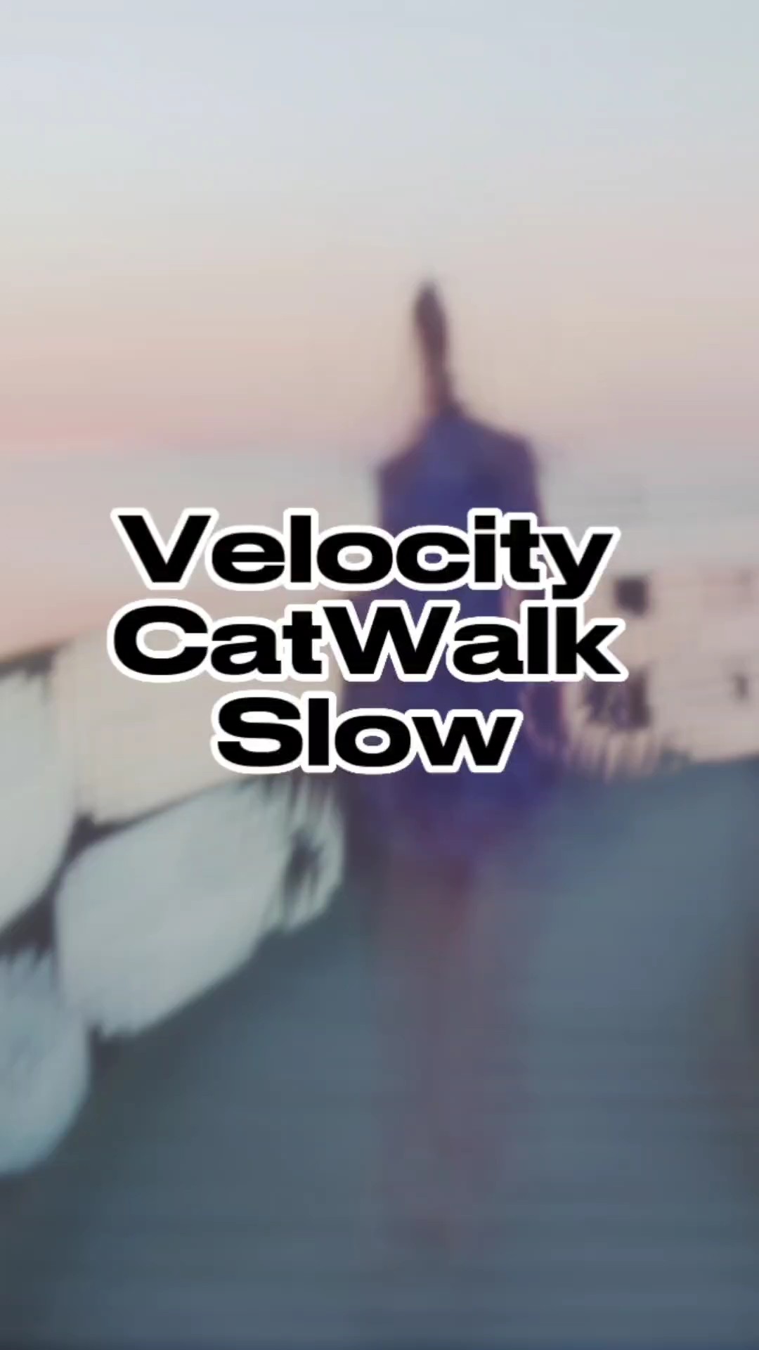 Velocity Catwalk 