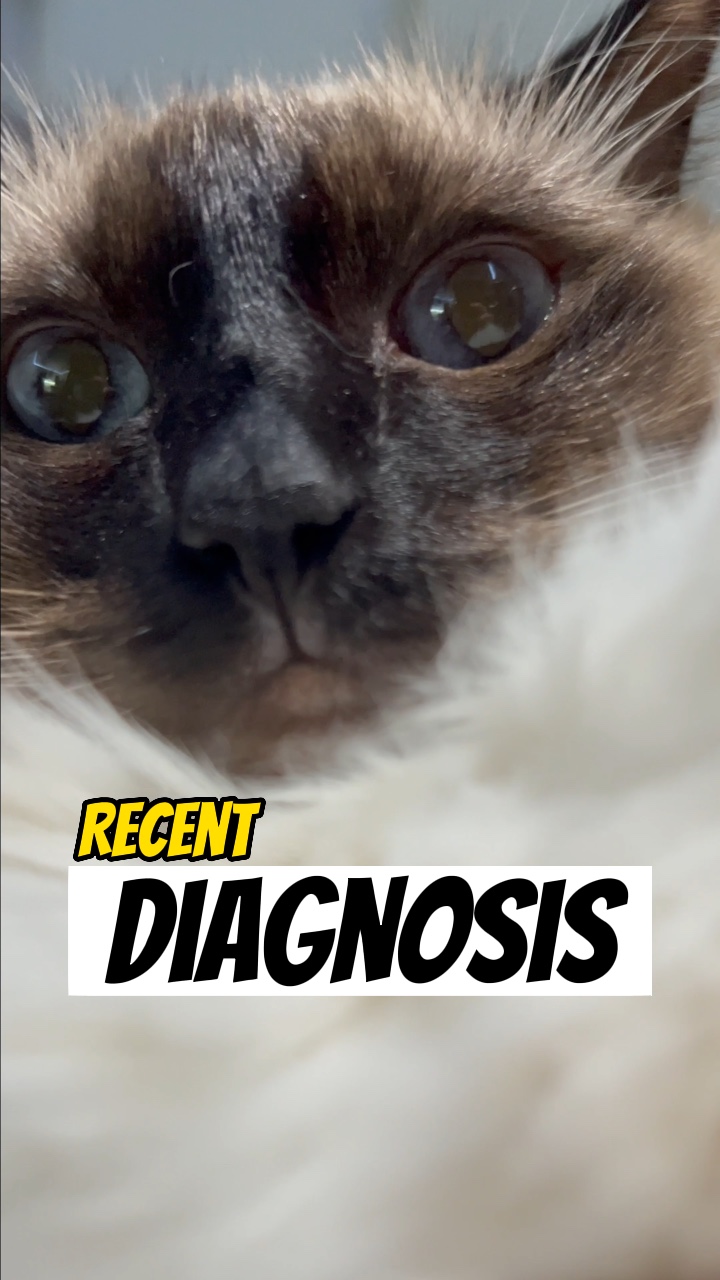 Diagnóstico de médicos