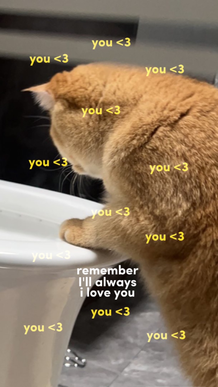 Siempre te amo