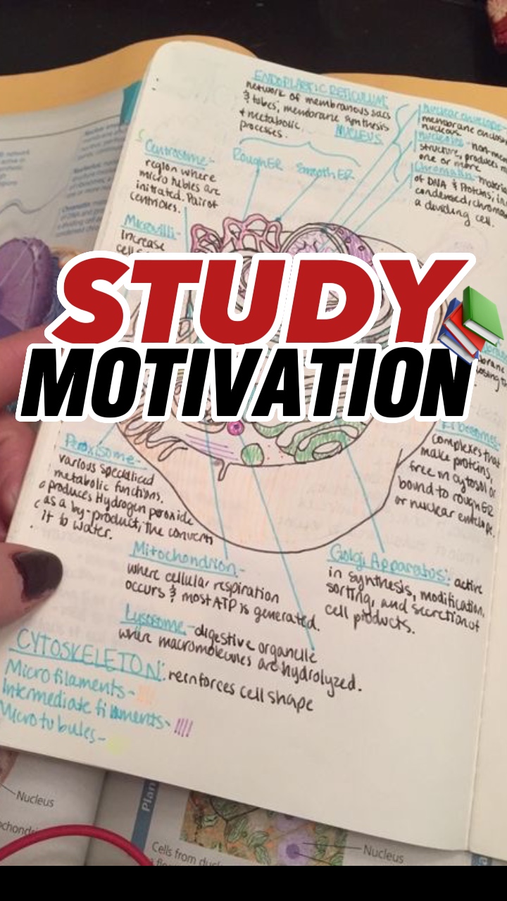 STUDY MOTIVATION🧫📚 