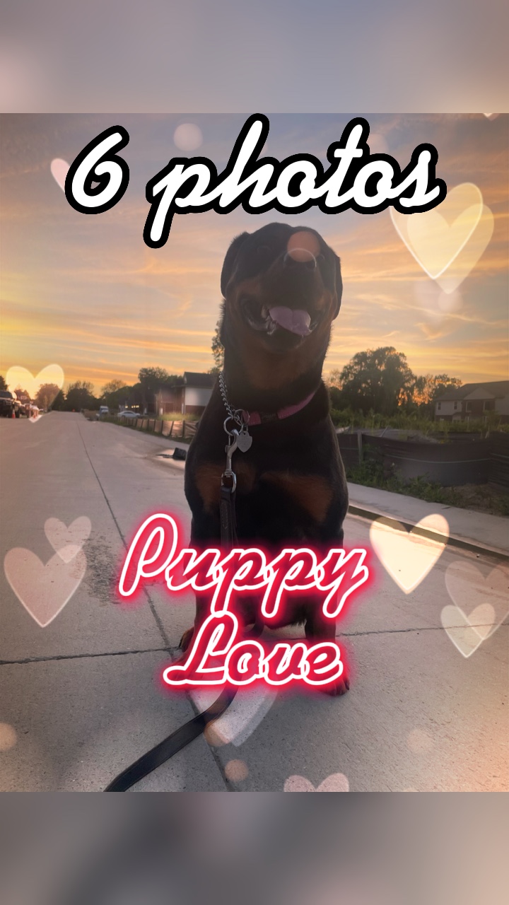 Puppy Love ❤️