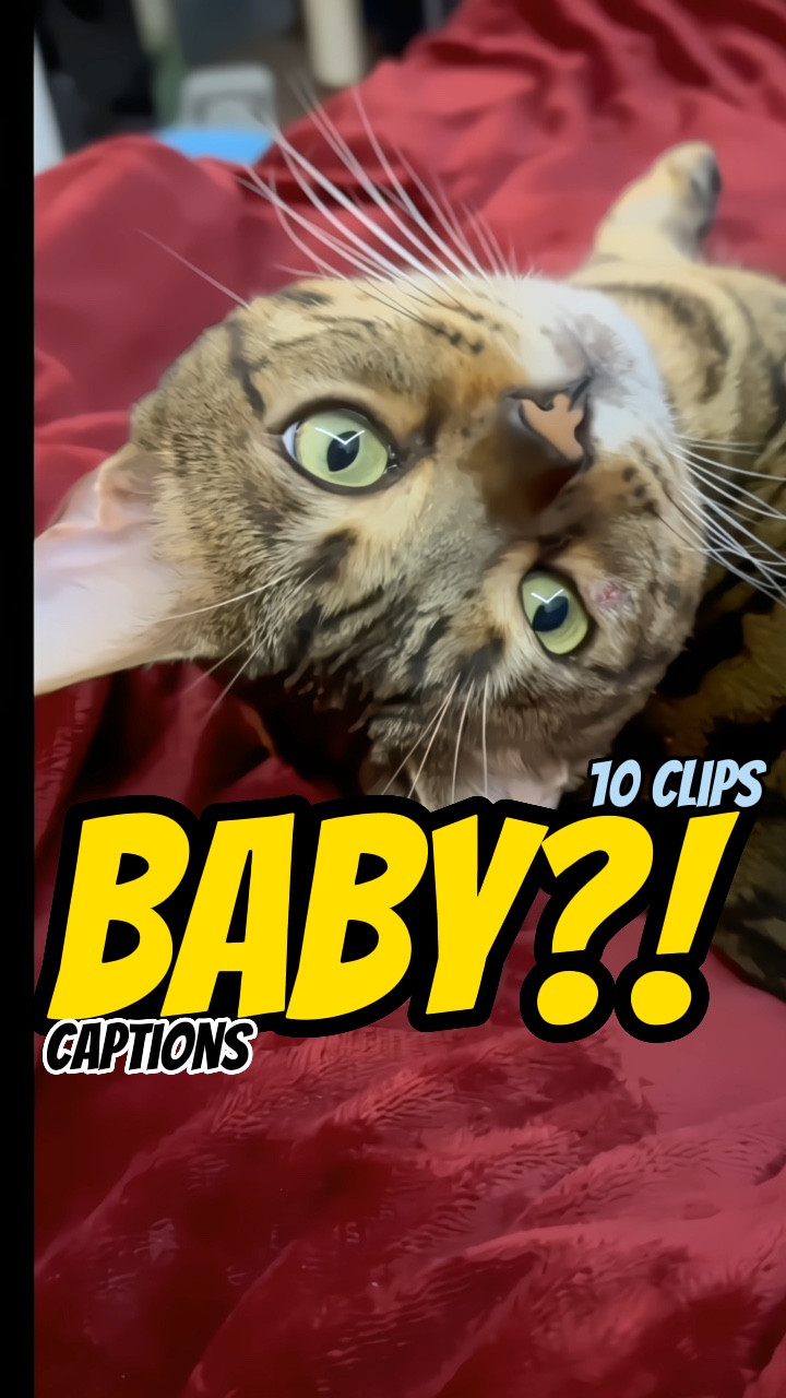 You call me baby?!