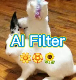 AI Filter