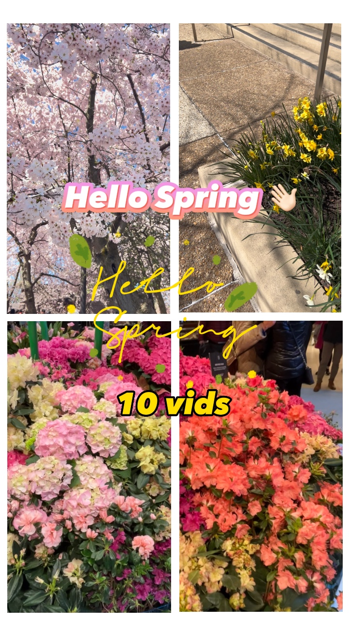 Hello Spring
