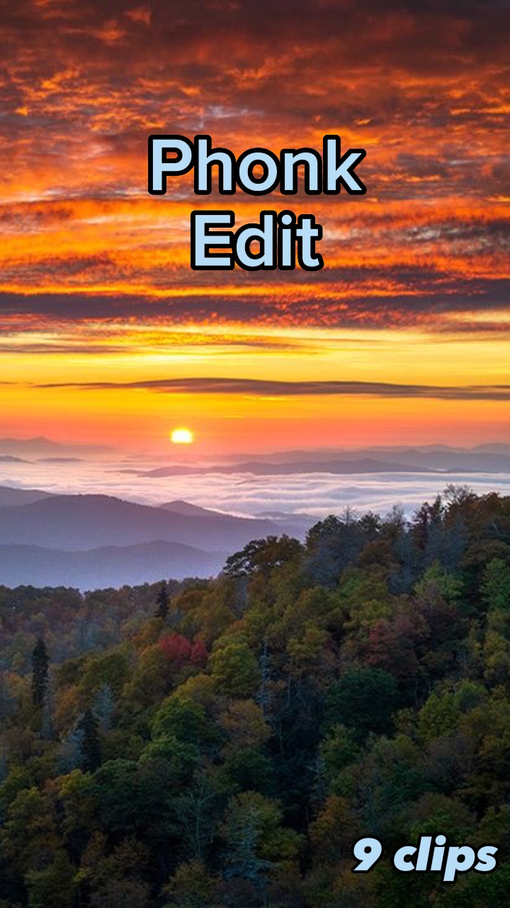Edición telefónica 