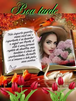 Boa tarde