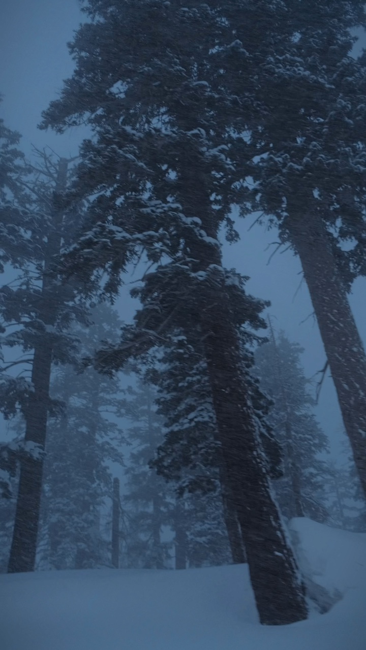 Sueño De Nieve
