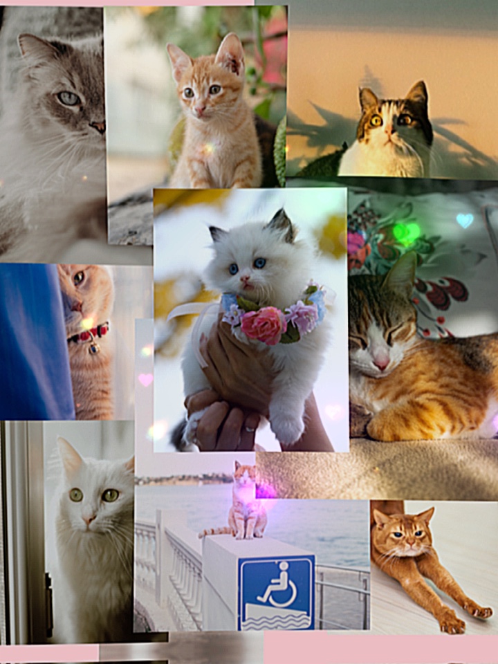 Photo dump