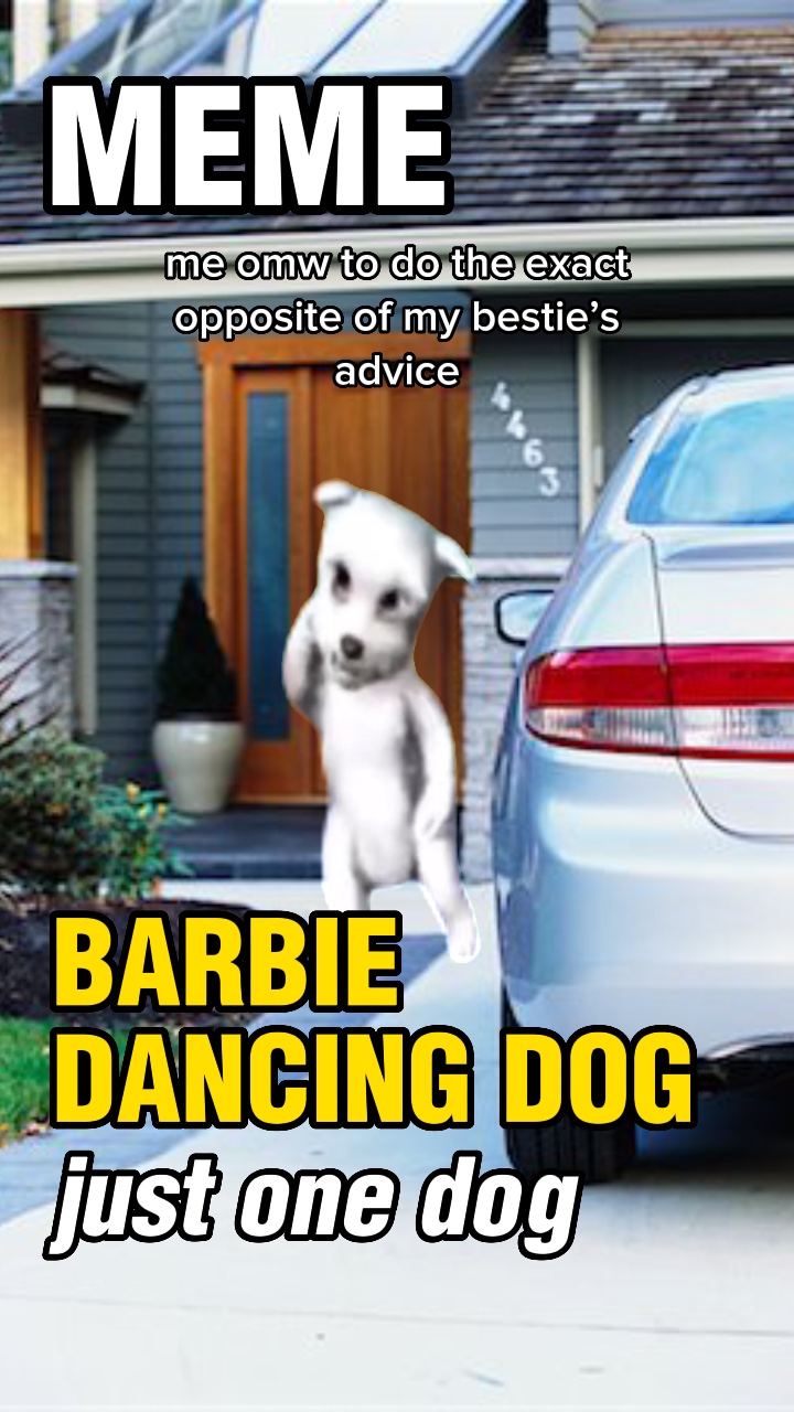 BARBİE DANS KÖPEK