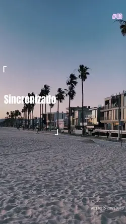 Modelo sincronizado