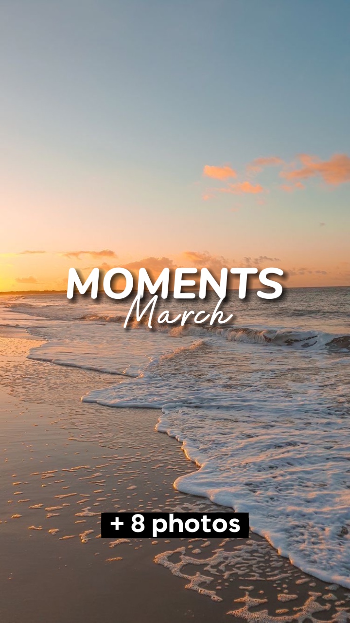 MARCH DUMP