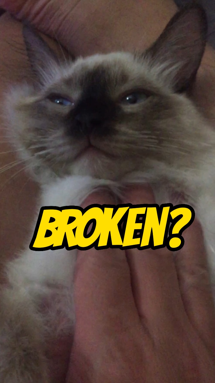 I am broken…