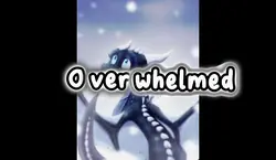 I get overwhelmed 