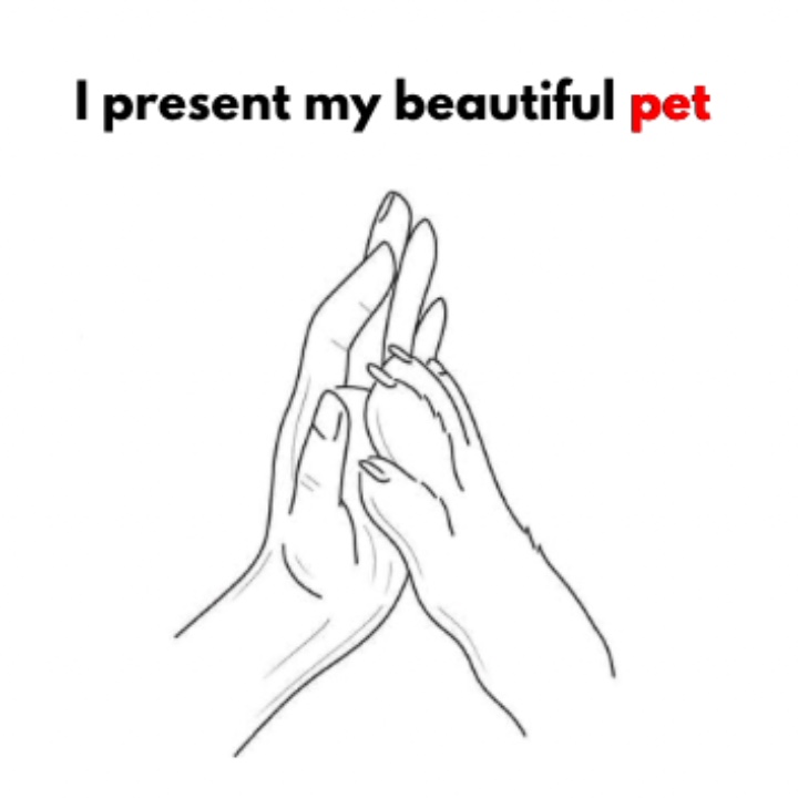BEAUTIFUL PET ❤️‍🩹
