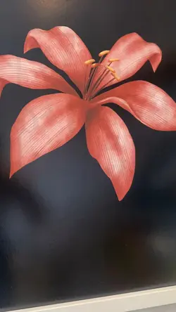 Divulgação de loja