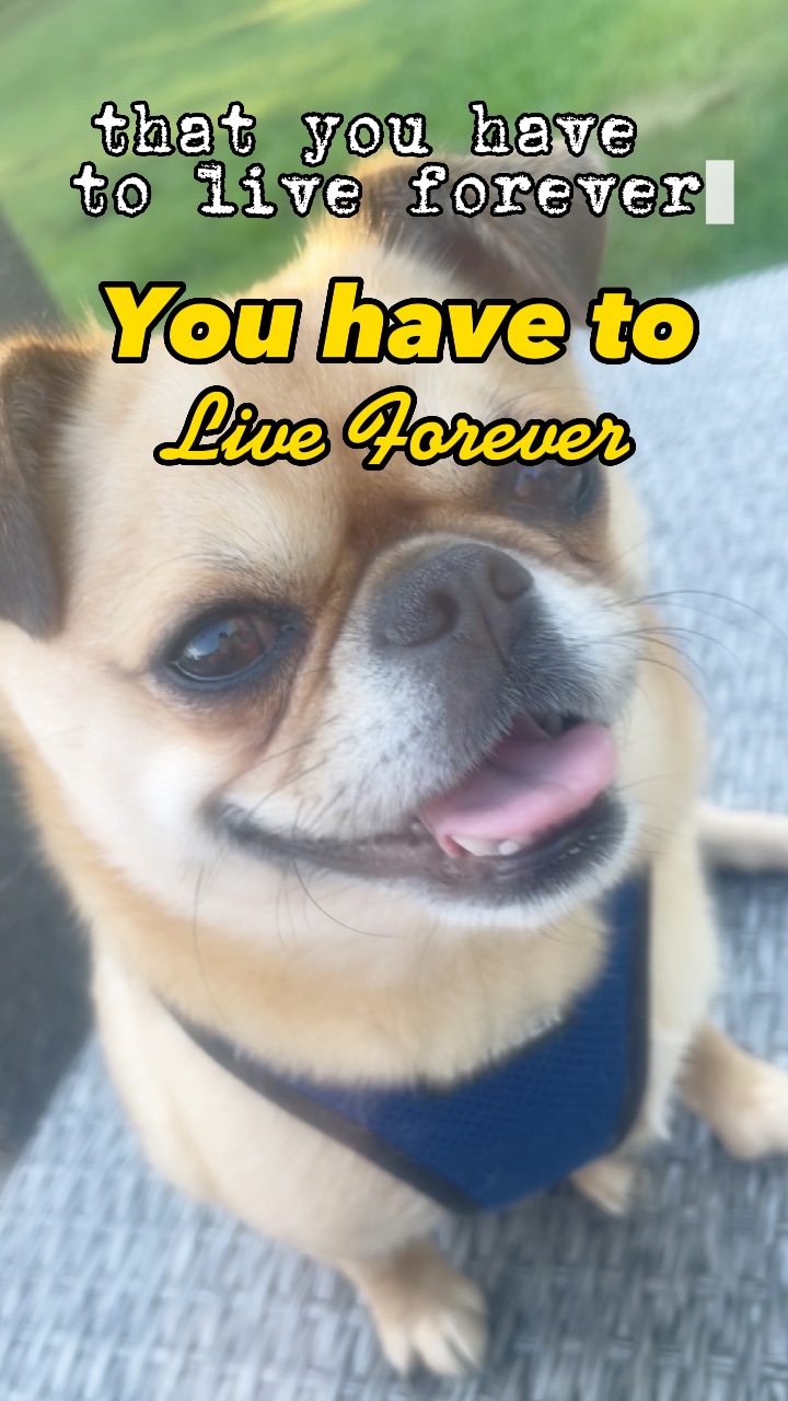 Live Forever